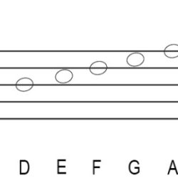 All major scales in bass clef