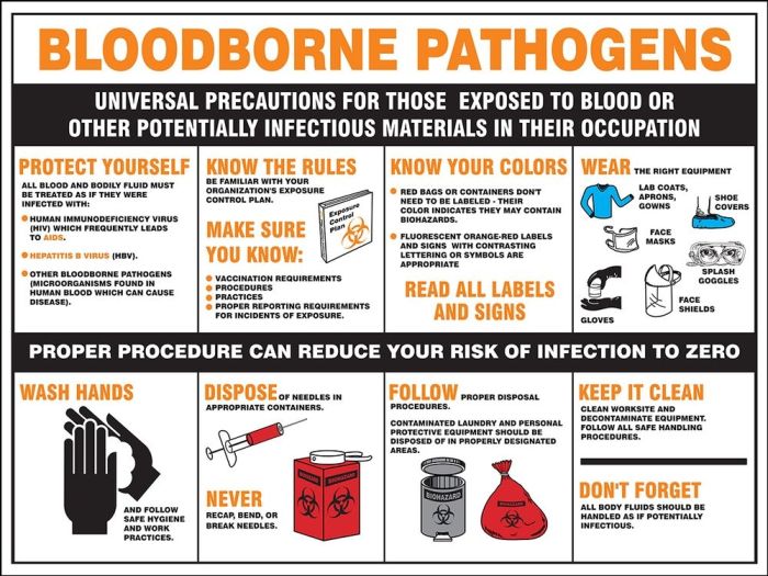 Bloodborne pathogens pathogen infographic blood training osha safety disease standards standard nursing control human given diseases workplace aid first infectious