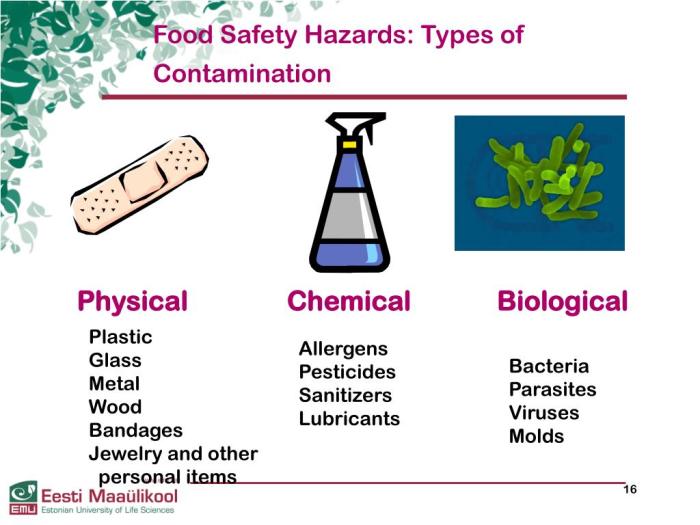 Which of the following food contaminations would be suspected