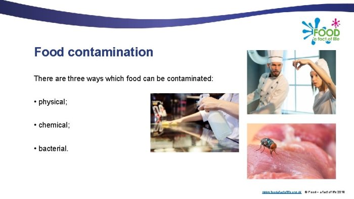 Which of the following food contaminations would be suspected